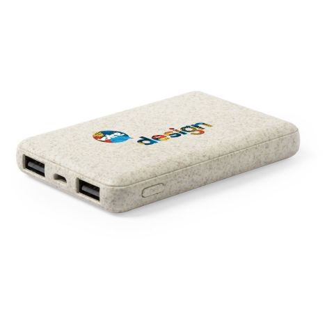 Batterie de recharge externe personnalisée Shiden