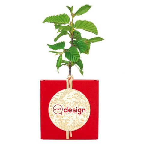 Le cube arbre publicitaire - Feuillus