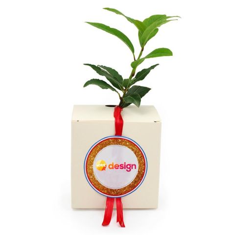 Le cube arbre personnalisé-Résineux