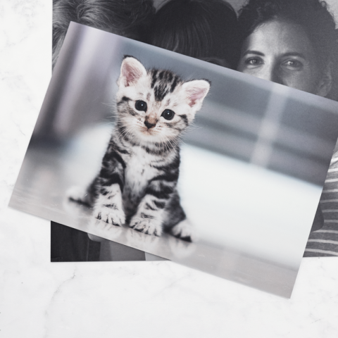 Photo personnalisée sur aluminium robuste intérieur extérieur