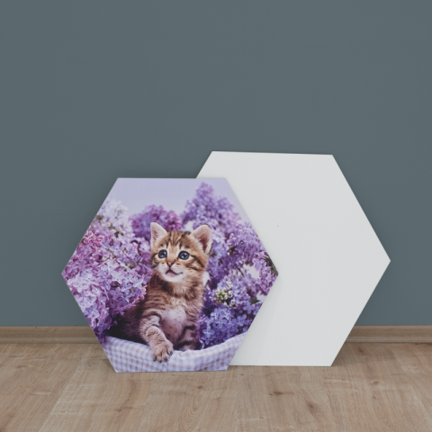 Photos murales personnalisées hexagone résistantes au vent et à leau