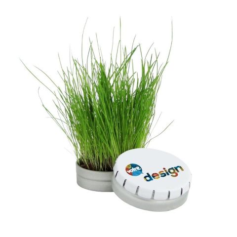 Boite à graines clic-clac personnalisé