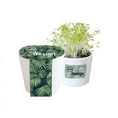 Kit de plantation personnalisable en céramique