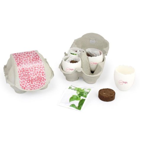 La boîte à 4 œufs à graines personnalisée