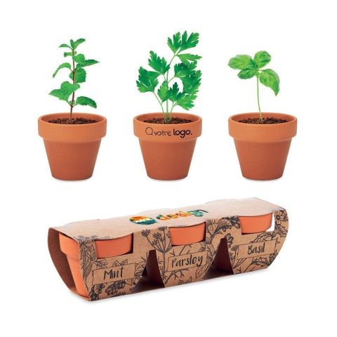 3 pots en terre publicitaire FLOWERPOT