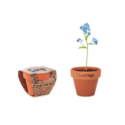 Pot graines de myosotis personnalisé FORGET ME NOT