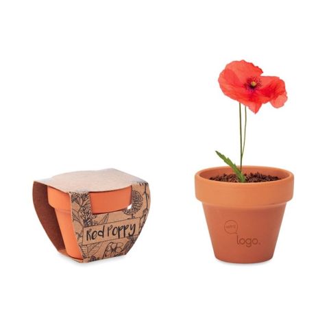 Pot personnalisé graines de coquelicot RED POPPY
