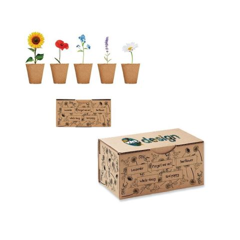 Kit de culture de fleurs publicitaire FLOWERS