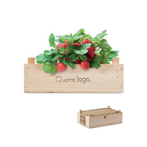 Graines de fraises dans une caisse publicitaire STRAWBERRY