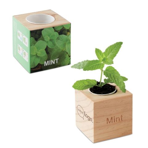 Pot en bois avec graine publicitaire Menthe MENTA