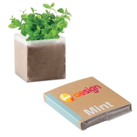Substrat personnalisé avec graines de Menthe MINT