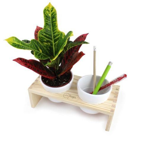 Plante verte et son plateau en bois personnalisé