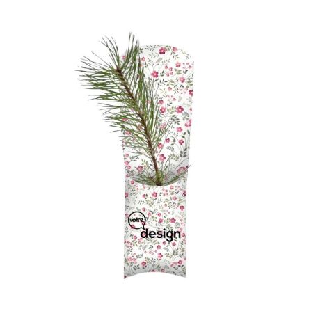 Plant d'arbre en étui publicitaire – Résineux