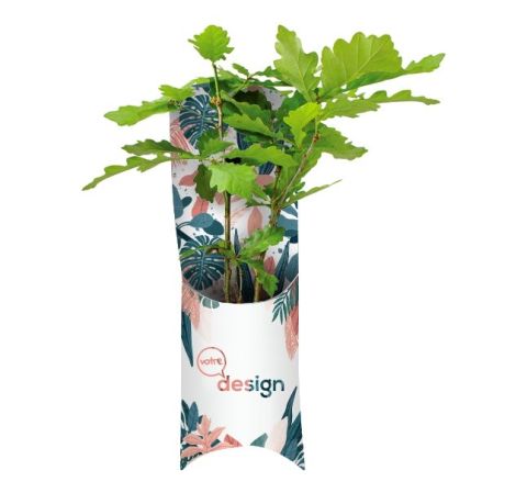 Etui arbre personnalisé - Plants de Feuillus