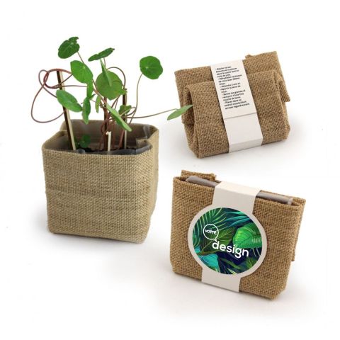 Kit pocket coco personnalisé avec cache-pot en toile de jute